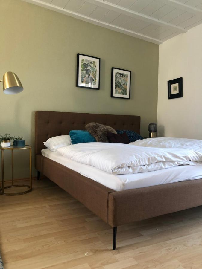 Roemerburg Apartments Antoniusstrasse 博帕德 外观 照片